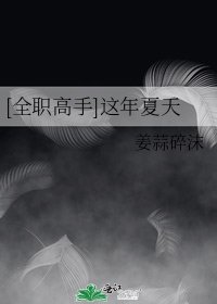 [全职高手]这年夏天