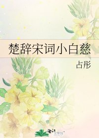 《楚辞宋词小白慈》